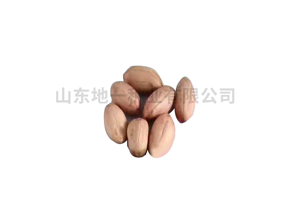 濰花25號(hào)花生種，有哪些栽培技巧